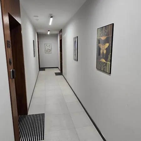 公寓 Vilda Moderne 波兹南
